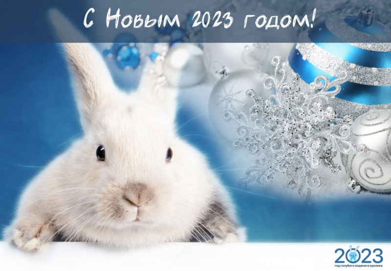 С наступающим Новым 2023 годом!