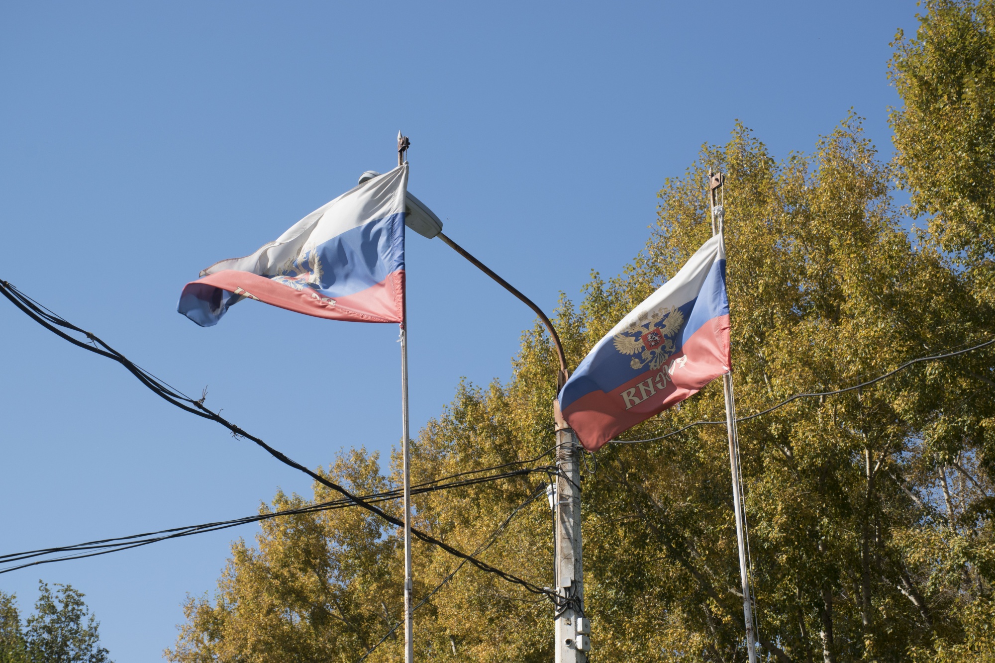 DSC_0057.jpg